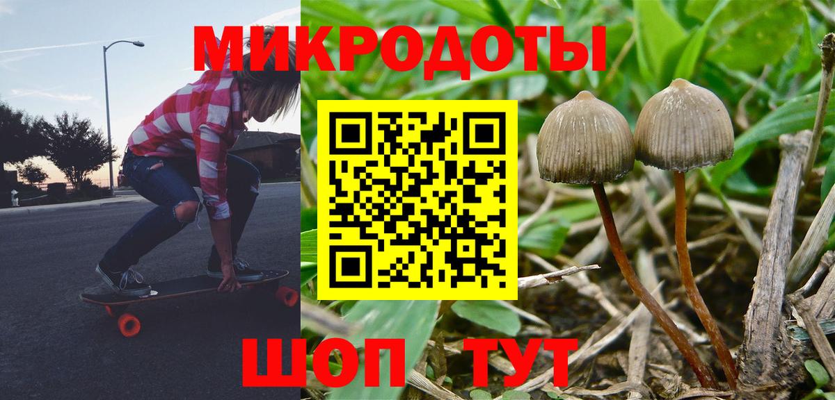 Галлюциногенные грибы Psilocybine cubensis  Вход с VPN  Псилоцибиновые грибы GOLDEN TEACHER  Ульяновск 