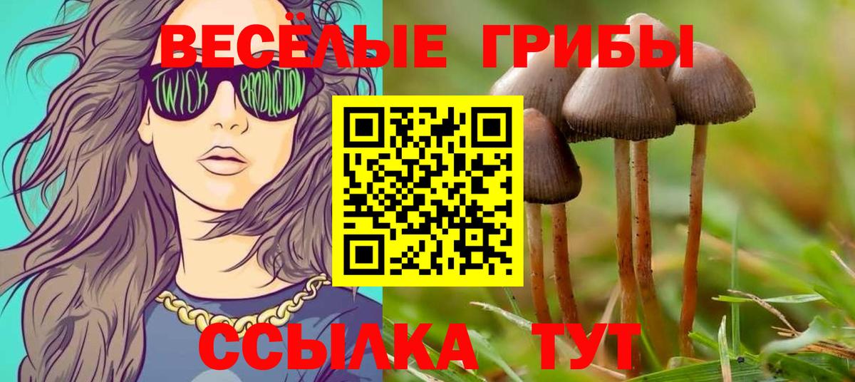 Галлюциногенные грибы Cubensis Ульяновск